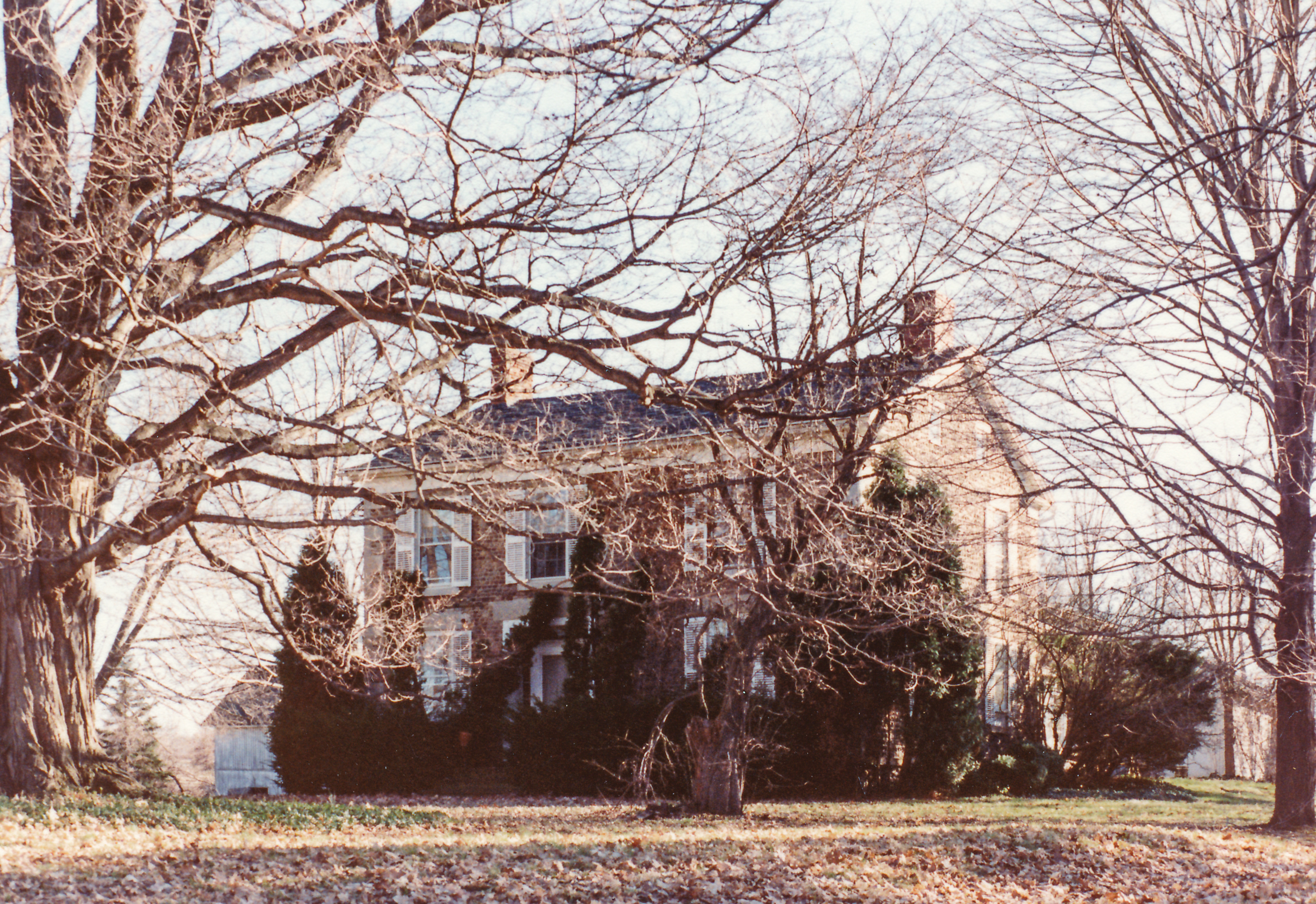 Chi-3 Sheffer-Bean 5